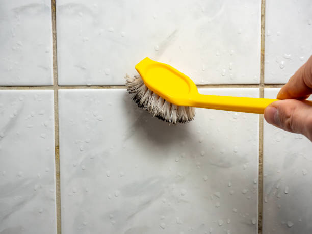 Best Kitchen Mold Remediation in Old River Winfree, TX
