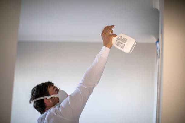 Best Insurance-Related Mold Remediation in Old River Winfree, TX
