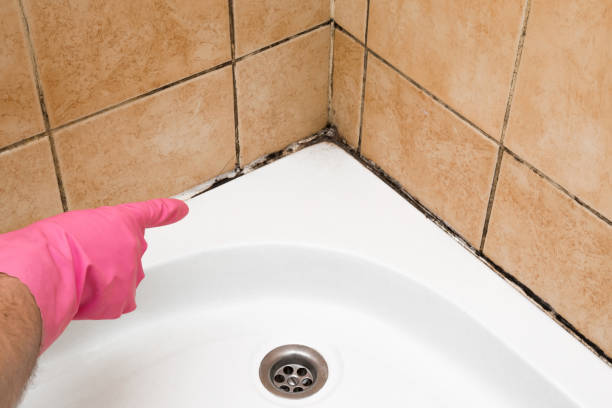 Best Mold Testing and Inspection Services in Old River Winfree, TX
